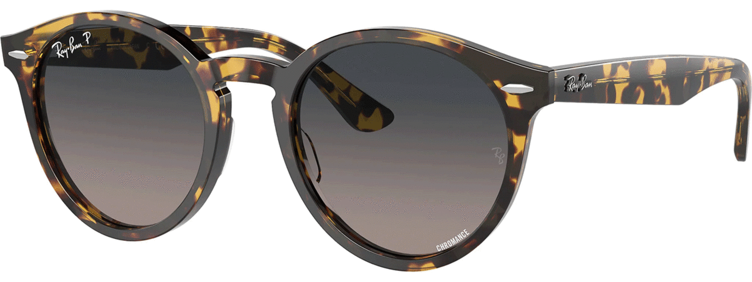 Ray-Ban Larry RB7680S 1332GL