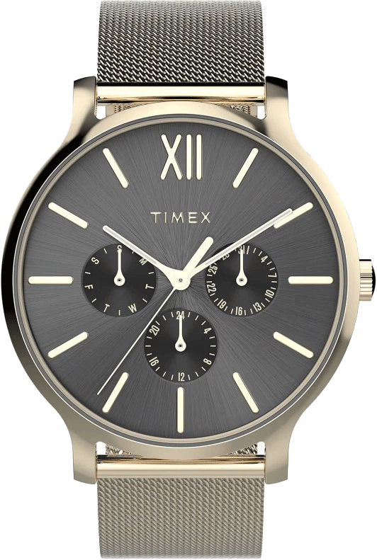 TIMEX TW2W20000